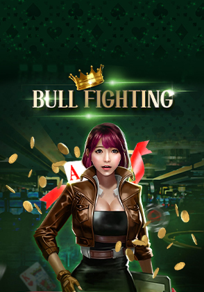 Bull Fighting