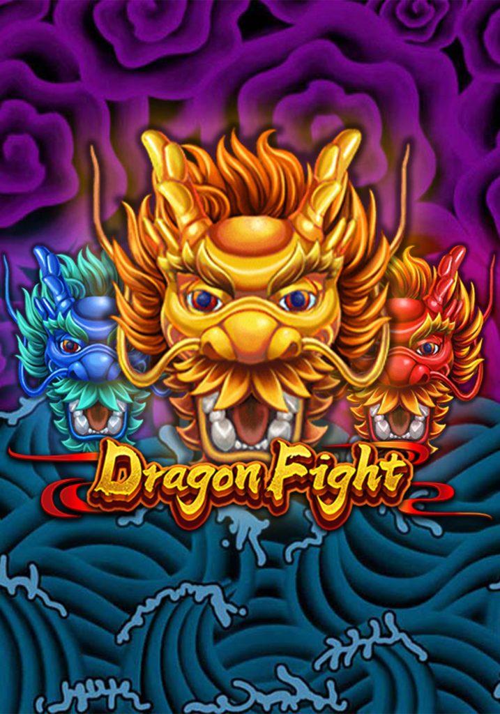 Dragon Fight