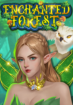 Enchanted Forest