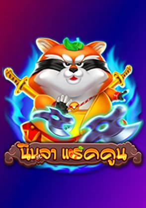 Ninja Raccoon