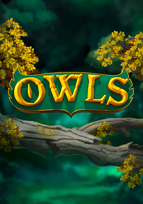 Owls