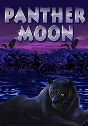 Panther Moon