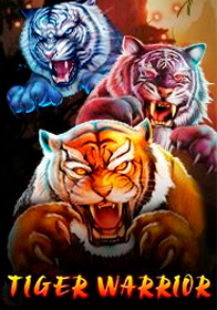 Tiger Warrior