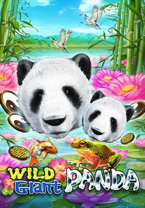 Wild Giant Panda