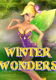 Winter Wonders